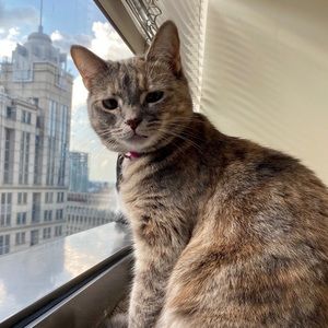 Meet your Posher, Marilyn